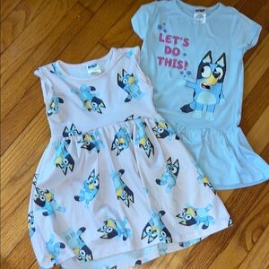 Bluey Casual Dress Set (2)